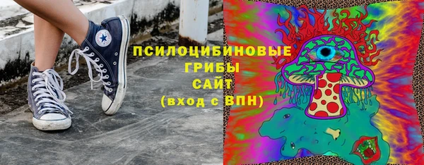 шишки Гусь-Хрустальный